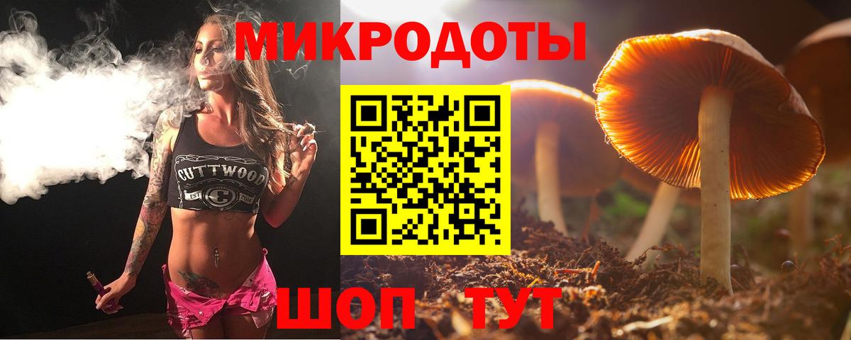 Псилоцибиновые грибы GOLDEN TEACHER  Вход с VPN  Свободный  Галлюциногенные грибы Magic Shrooms 